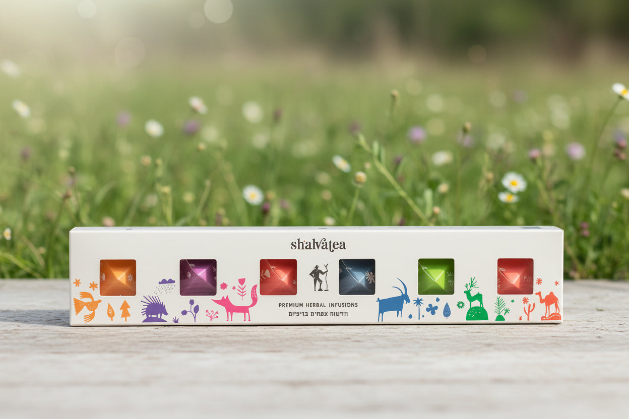 ShalvaTea Premium Herbal Infusions - 6 Pyramid Gift Box Set