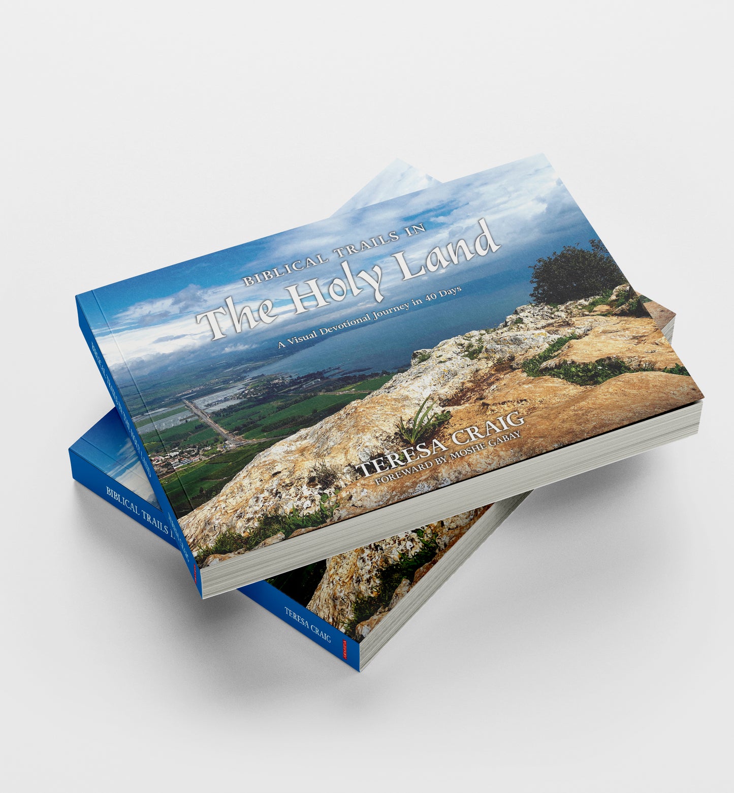 Biblical Trails in The Holy Land, Teresa Craig - Book