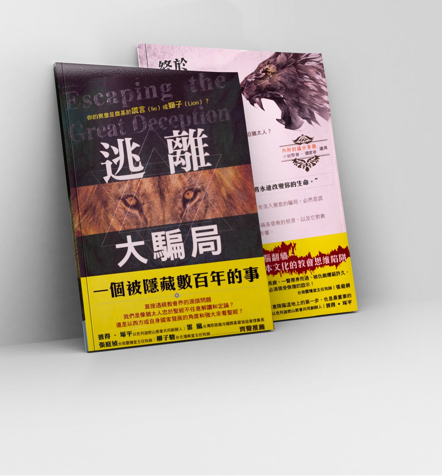 Escaping the Great Deception , 逃離大騙局 - Chinese book - book