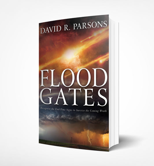 Floodgates by David R. Parsons - Book