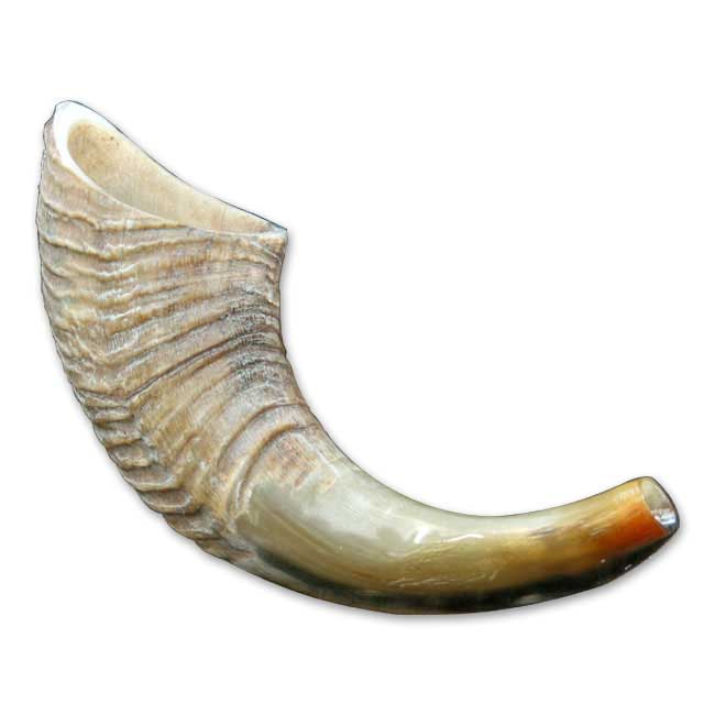 Small Ram Horn Shofar - souvenirs