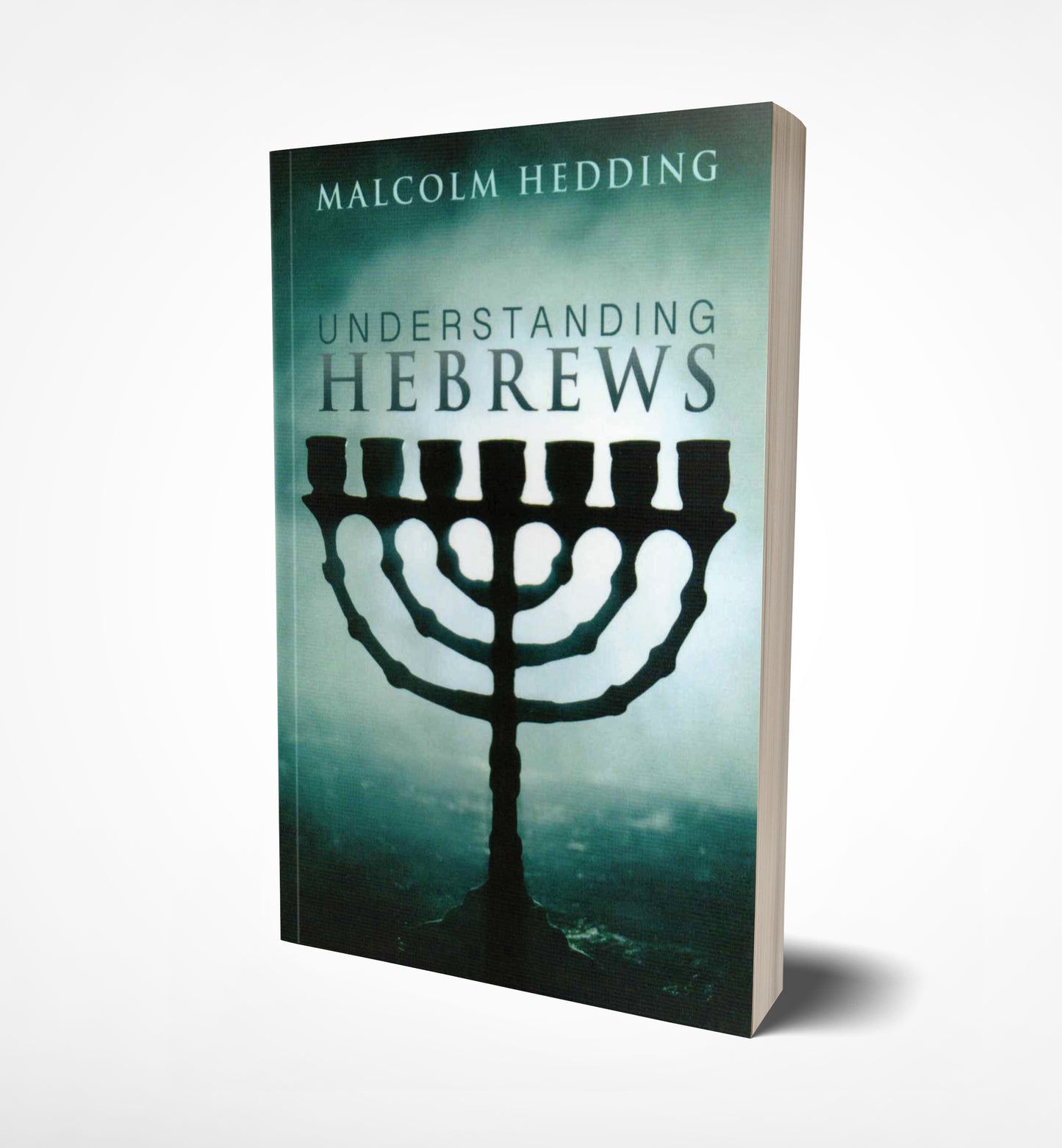 Understanding Hebrews, Malcolm Hedding