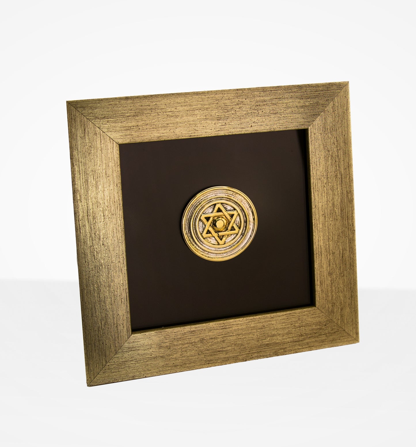 Commemorative Zion Mule Corps Medallion Plaque