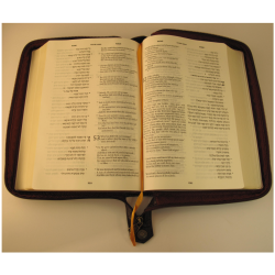 Hebrew/English Bible NASB with zipper
