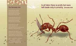 Can a Creature Be your Teacher?-  by Liz Rabbah and Eila Goldberg - Book