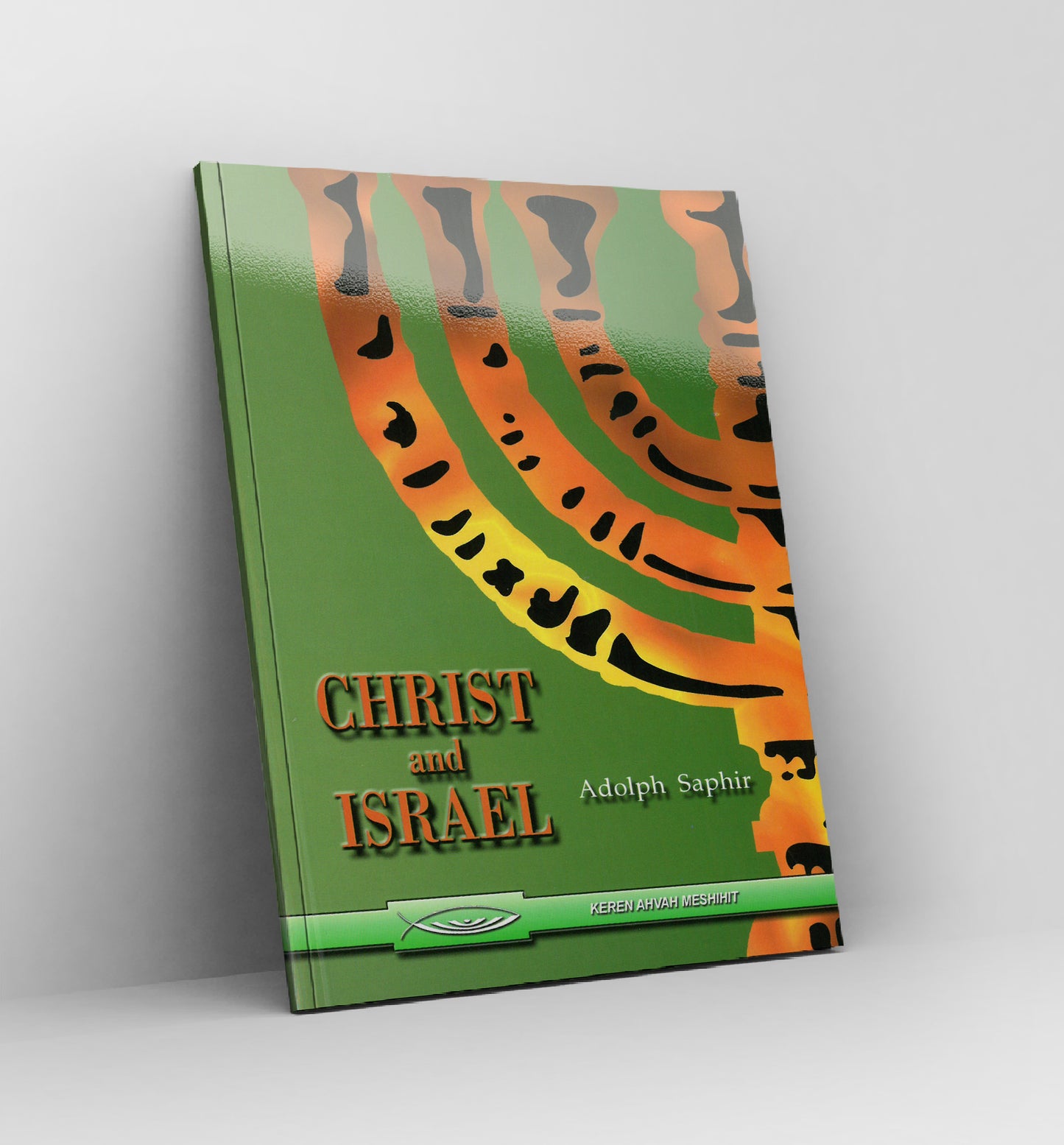 Christ and Israel by Adolf Saphir