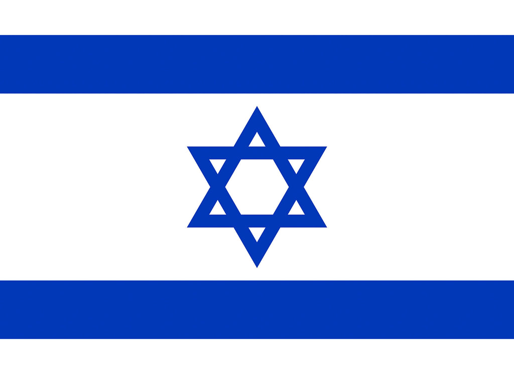 Israel Flag 80x110cm