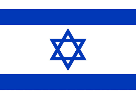 Israel Flag 80x110cm