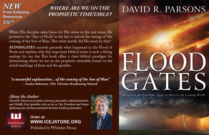 Floodgates by David R. Parsons - Book