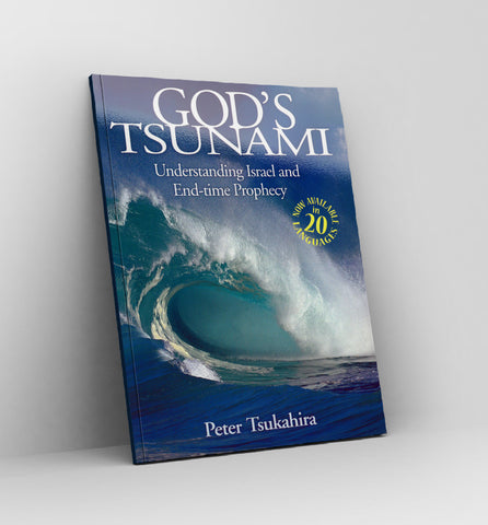 God's Tsunami by Peter Tsukahira - Book