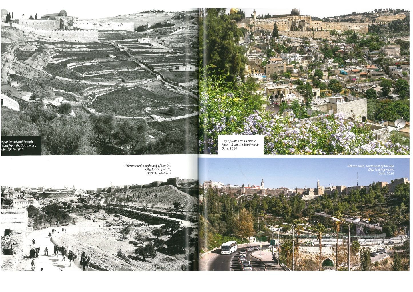 Israel Rising, the Land of Israel reawakens, Doug Hershey
