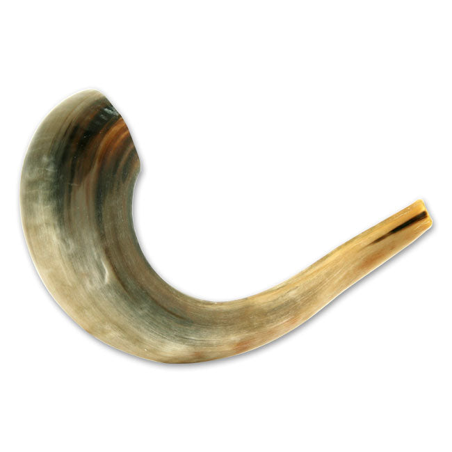 Medium Rams Horn Shofar - souvenirs