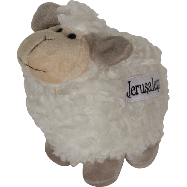 Jerusalem Fuzzy Sheep Plush Toy - souvenirs
