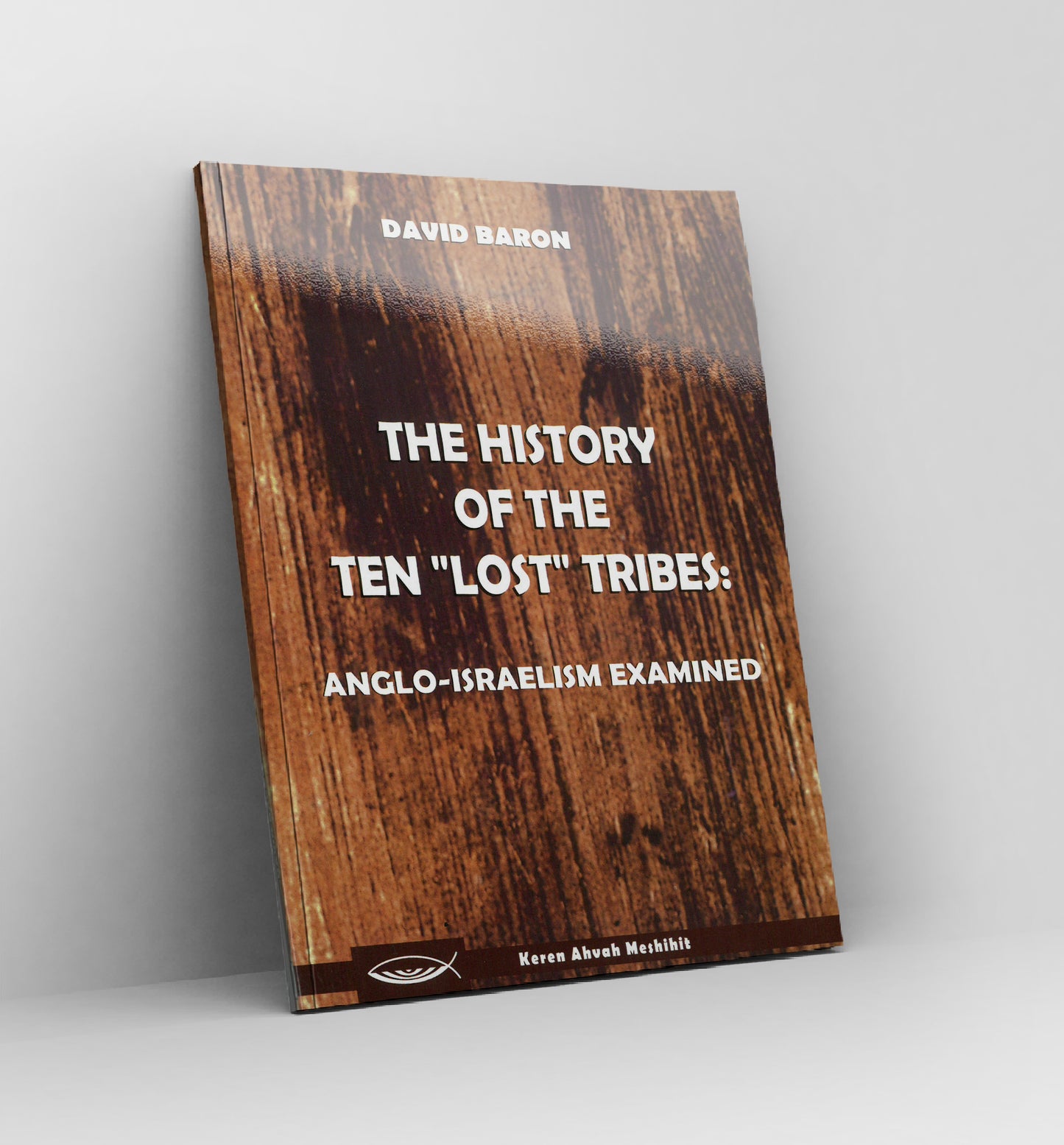 The History of the ten "lost" tribes by David Baron
