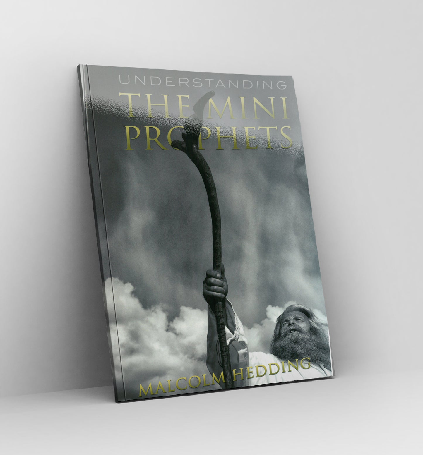 Understanding the Mini Prophets by Malcolm Hedding