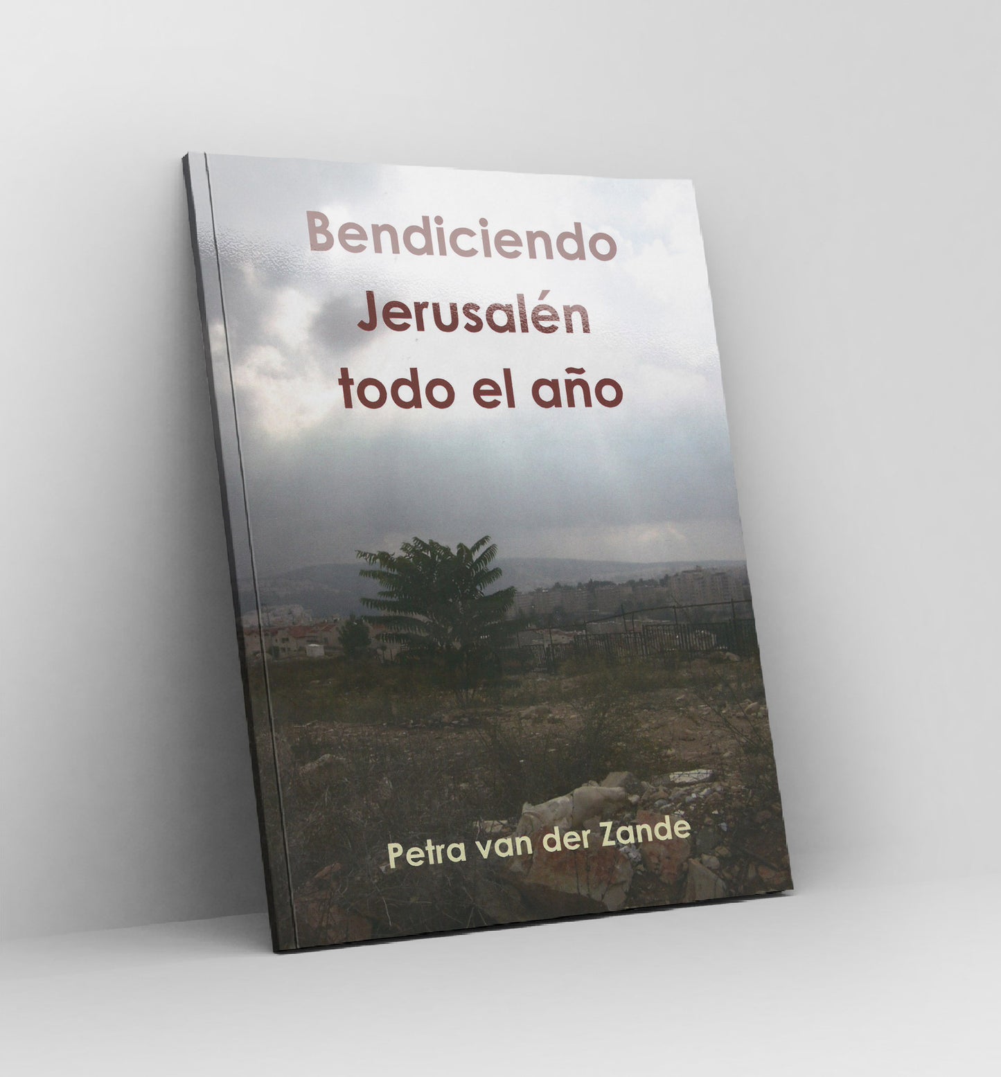 Libros - Bendiciendo Jerusalén todo el año - Por Petra van der Zande – Spanish